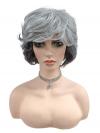 Schicke kurze lockige synthetische Perücke mit grauem Ombre und Pony (Basis Kappe) DBK009