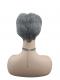 Silber Weiß und Pearl Platinum Blonde gemischte kurz geschnittene Synthetik Perücke (Basis Kappe) DBK010
