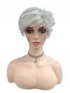 Coole silbergraue kurze synthetische Perücke (Basis Kappe)DBK015
