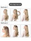 Glatte Halo Haar Extensions HE002